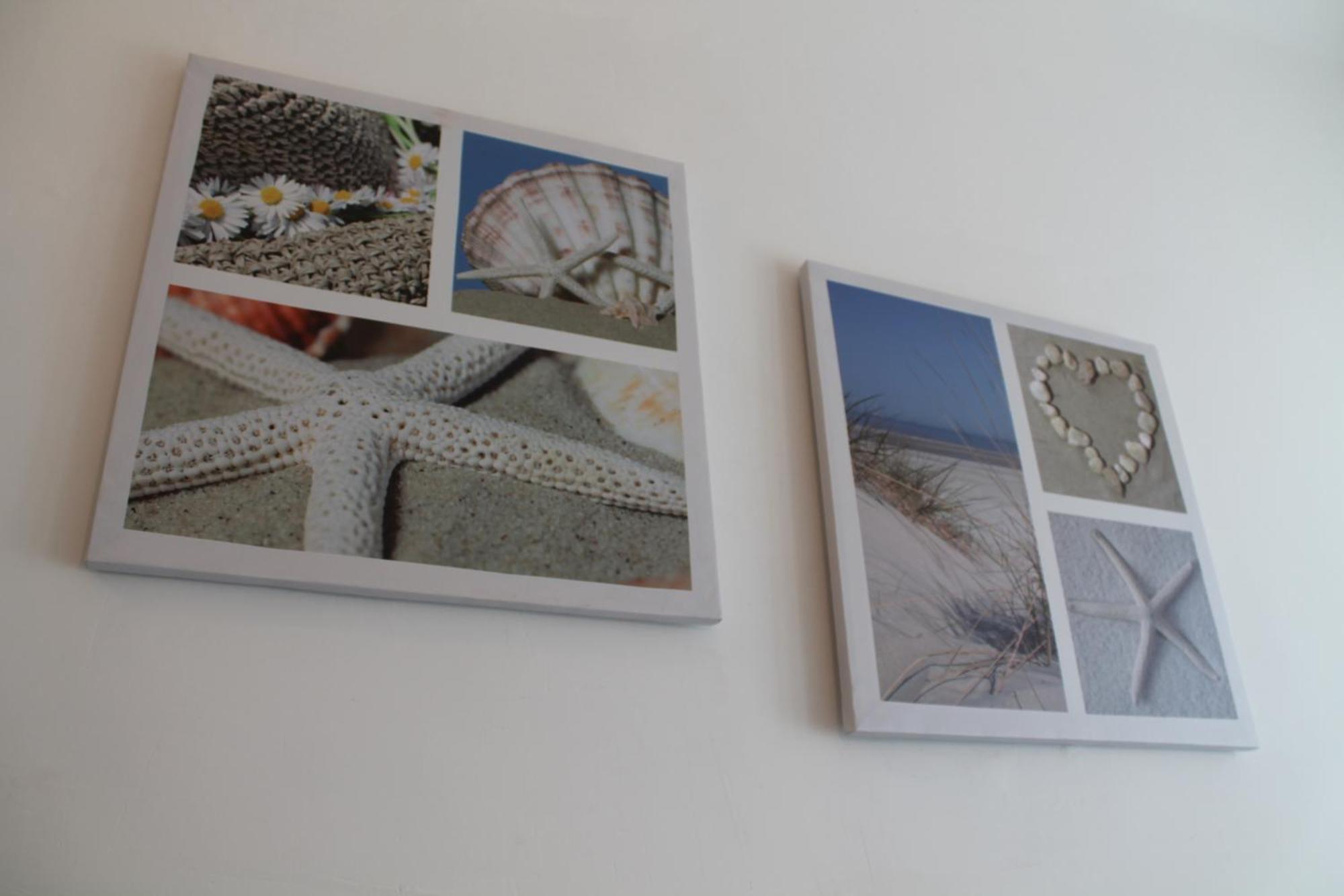 B&B L'Arca Di Noe La Spezia Dış mekan fotoğraf